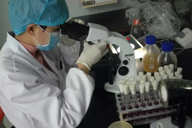 1508824645360848.jpg 1.jpg